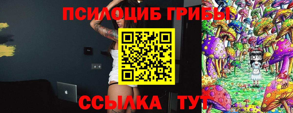 Псилоцибиновые грибы Psilocybine cubensis  как найти наркотики  Галлюциногенные грибы ЛСД  Калининград  Вход с VPN 